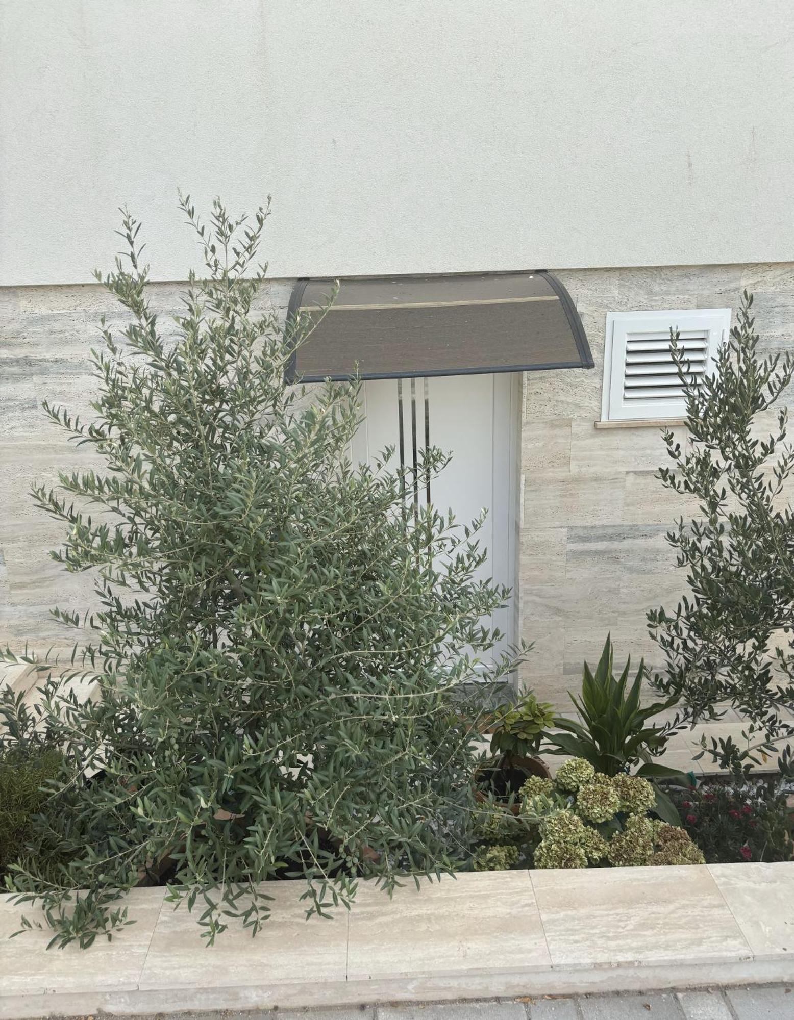 Vila Regina Apartment Rex With Swimming Pool Jezera Exterior foto